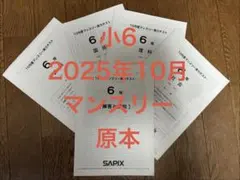 2026年最新】サピックス テキスト 6年の人気アイテム - メルカリ