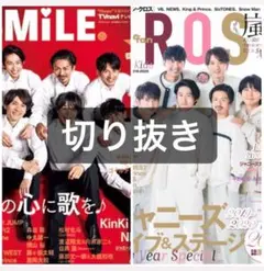 TVfanCROSS TVnaviSMILE 切り抜き