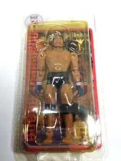 2025年最新】高田延彦 フィギュアの人気アイテム - メルカリ