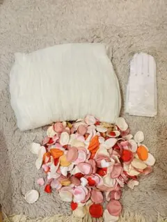 Item thumbnail for item 0cdcbf3e-9f53-4baf-a5e9-c47d878202a9