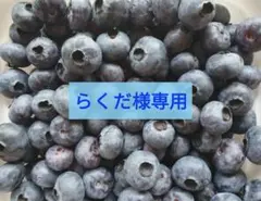 らくだ様専用のサムネイル