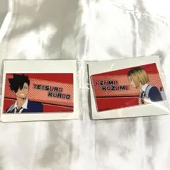 ハイキュー　音駒　黒尾鉄朗　孤爪研磨　プレートバッジ