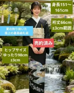 NO480　売約済み　正絹絽 黒留袖フルセット 届いてすぐ着れる9点セット