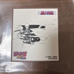 ジャンプフェア2025 ジャンフェス アニメイトフェア 特典 色紙 BLEACH