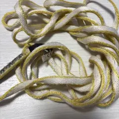 Item thumbnail for item 3975e375-f6c1-46c6-b45b-d4e6cab6e6c9