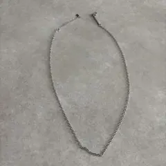 キノ様専用　ネックレス /サージカルステンレスLION HEART