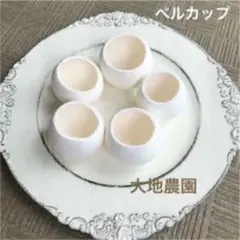 済　夢ちゃん様　ご専用