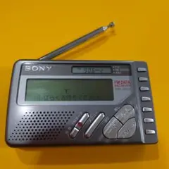 Item thumbnail for item 9094e206-af1d-4daa-b437-a97d6caf84a6