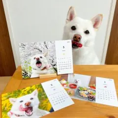 Item thumbnail for item 1676dd70-e70b-46de-a658-26947c42f69f