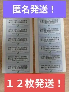 【土日祝も郵便局配達！匿名発送！】JR東日本ホテルズ宿泊施設　宿泊券　１２枚　a