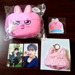 Stray Kids SKZOO トェッキ チャンビンセット