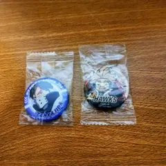 僕のヒーローアカデミア 缶バッジ 2個セット 飯田天哉 ホークス