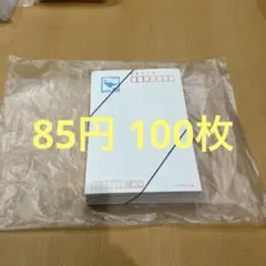 ミニレター 郵便書簡 85円 2ヶ所、糊付け済み完成品100枚 メルカリ便
