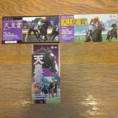 15枚 競馬記念入場券 有馬記念 ジャパンカップ 天皇賞・秋 記念入場券 未使用 15枚 競馬記念入場券 有馬記念 ジャパンカップ 天皇賞・秋 記念