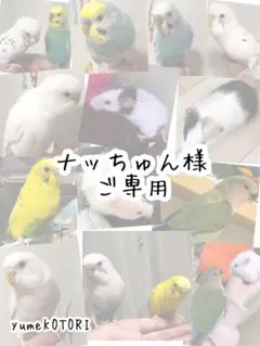 Item thumbnail for item eaadcfde-577c-4bfa-b7fa-72723e37e47b