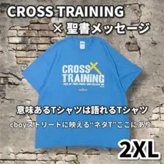 聖書 筋トレ GILDAN製 2XL メッセージT cboyネタ系 古着一点モノ