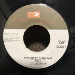 Sizzla / Just One Of Those Days レゲエレコード