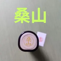 シャチハタネーム9印鑑【桑山】