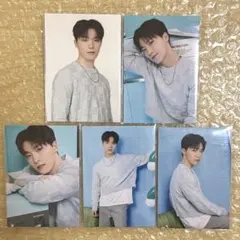 ディノ 24HOME トレカ5枚