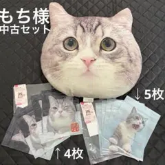 もち様 クッション ジップバック 中古　もちまる日記 ダイソー　DAISOのサムネイル