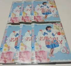 若奥さまは腕まくり! DVD 全6巻 全巻 セット レンタル版 中山美穂