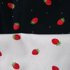 Item thumbnail for item 1a4fa98d-9751-43a3-a549-e2739aa2ae70