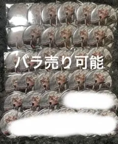 僕のヒーローアカデミア 原画展 コレクション缶バッジ 爆豪勝己 27点