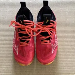 ミズノ バレーボールシューズ 24.5