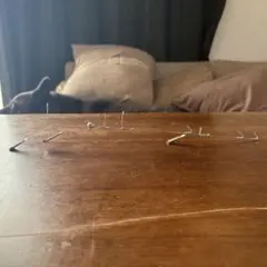 Item thumbnail for item 6b8ed333-6208-47f1-990a-134154a0d608