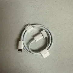 Apple 正規品iphone ライトニングケーブル 充電器 急速 純正品