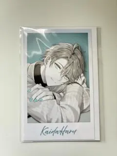 甲斐田晴 ツアーチェキ - メルカリ