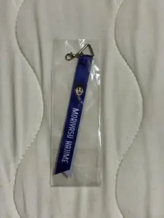 サッカー日本代表森保一監督ボンフィン