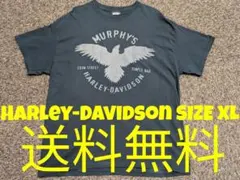 Harley-Davidson 半袖 Tシャツ アイルランド ショップロゴ XL