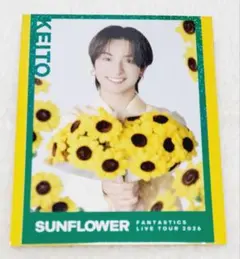 FANTASTICS 木村慧人 フォトカード SUNFLOWER シークレット