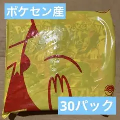 ポケモンカード　メガブレイブ　ポケモンセンター　ポケセン産　未開封30パック