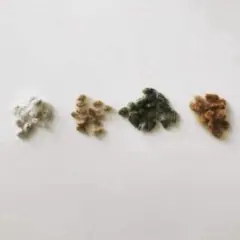 和綿・洋綿の種子　各10粒　合計40粒のサムネイル