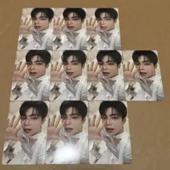 ゴヌク　ラキドロ　トレカ　10枚　BLUE PARADISE ZB1 ①