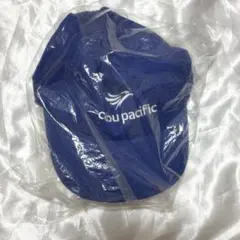 Cebu pacific セブパシフィック航空 限定 キャップ