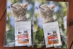 Item thumbnail for item cd676c68-860f-4c0f-807b-d386b27b747f