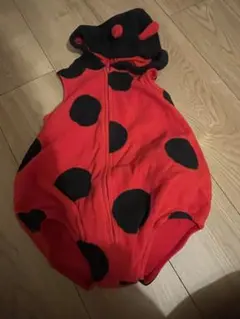 Item thumbnail for item ce2fcc92-abb8-4829-862d-009dbe0bd3d7