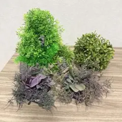 【送料無料】癒し水景 アクアキャンバス プランツ レイアウト テラリウム＋おまけ