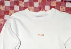 BEAMS ミニロゴロングスリーブ