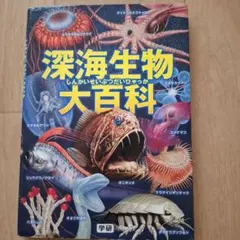 Item thumbnail for item 55f69f36-d681-4604-800f-261122ab10b6