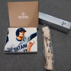 【大谷翔平】MLB PLAYERS バスタオル 2種セット【GIGO限定】 GiGO限定 MLB プレイヤーズバスタオル 大谷翔平 全2種セット - メルカリ