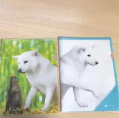 お値下げ！ソフトバンク お父さんクリアファイル