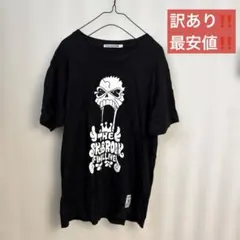 Item thumbnail for item 66a66132-0309-4c9c-b14f-9fe7afdc0b45