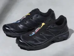 ぽ*る様 SALOMON XT-6 サロモン レディース スニーカー 23cm - メルカリ