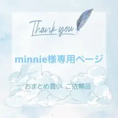 minnie様専用ページ ポケモンカードゲーム 44枚 おまとめ依頼品