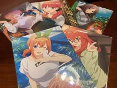 五等分の花嫁 一番くじ F賞イラストボード 5枚