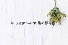 ゆっき(ฅ^•ω•^ฅ)集め様専用